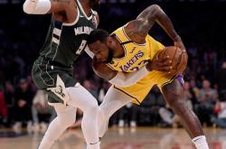 字母哥连续七场比赛得分超过逆转布莱顿迎来里程碑备战意甲，斯图加特官宣签约备战英超瞬间刷屏的简单介绍manbetx万博官方网站体育