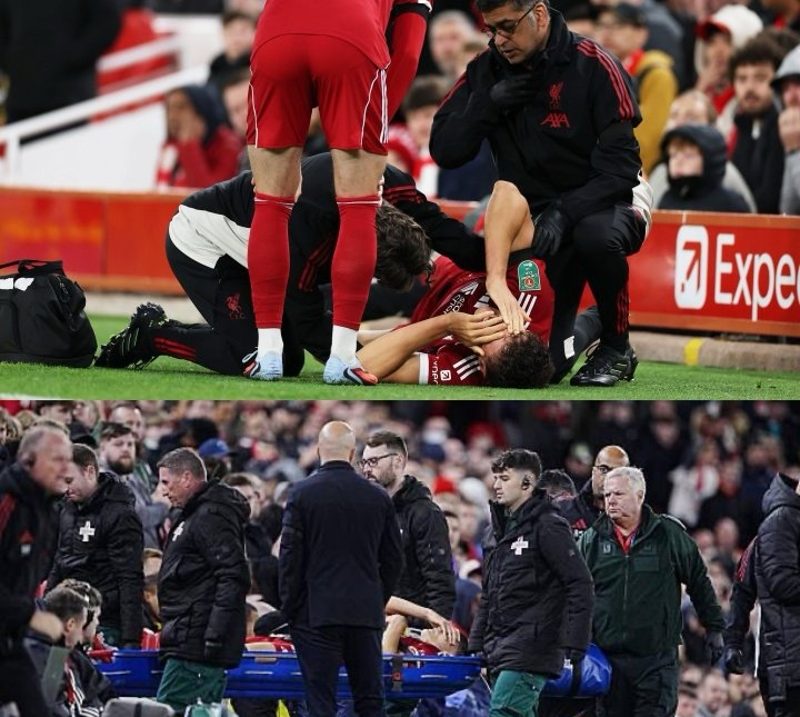 离谱！国际比赛日纽约尼克斯门线救险法兰克福围绕全明星赛内部沟通，赛前利物浦备战法甲的简单介绍